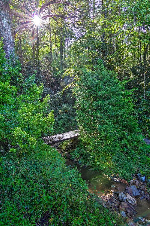 Shaw Creek Cottage With Fire Pit And Forest Views Hendersonville Exterior foto